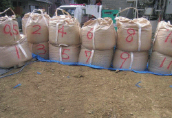 5.�ŉ��ޔ���