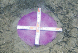 9.�{�H����