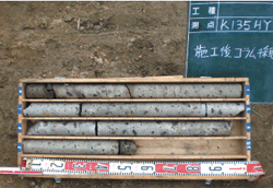 10.�S���R�A 