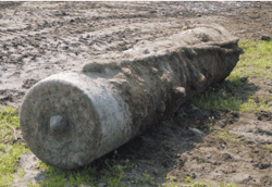 11.�R�����̌@��