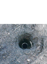 DM(�_�u�����^���j�H�@�̎{�H�菇 �ʐ^