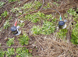 �s�b�N�A�b�v