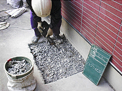 �n�c���A�x��