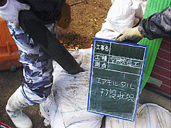 �����^���Ő�