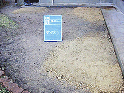 ���߂��A���n