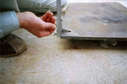 �ψ��ōH�@�@�ψ��Łi�S�j