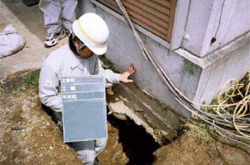 �ψ��ōH�@�@�n�R�m�F