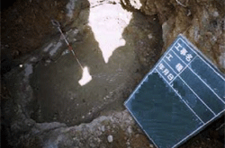 �ψ��ōH�@�@���n����