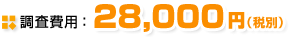 ������p�F28,000�~�i�ŕʁj