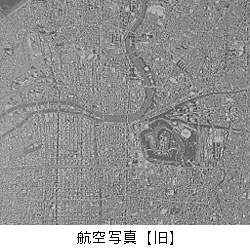 �q��ʐ^�i���j