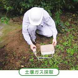 �y��K�X�̎�