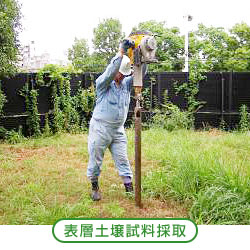 �\�w�y�뎎���̎�