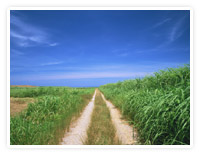 �y�n���E�m�F